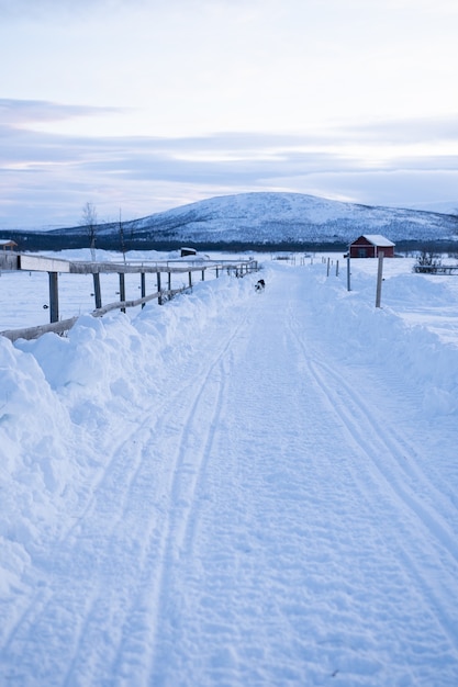 Disparo vertical de un [athway en medio de campos nevados con un perro en la distancia en Suecia