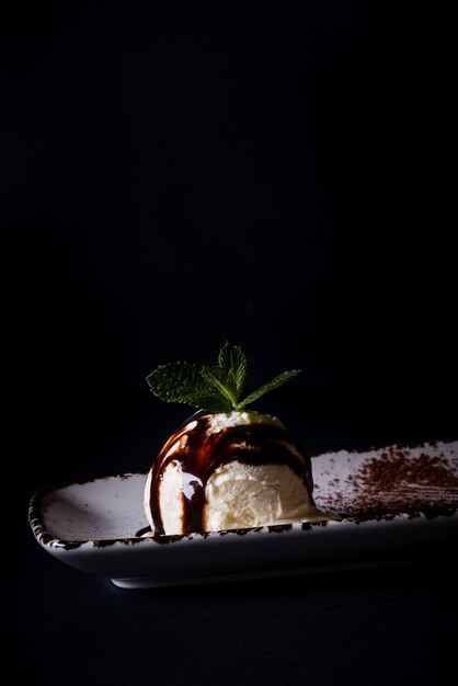 Disparo vertical de bola de helado de vainilla en un plato aislado sobre fondo negro