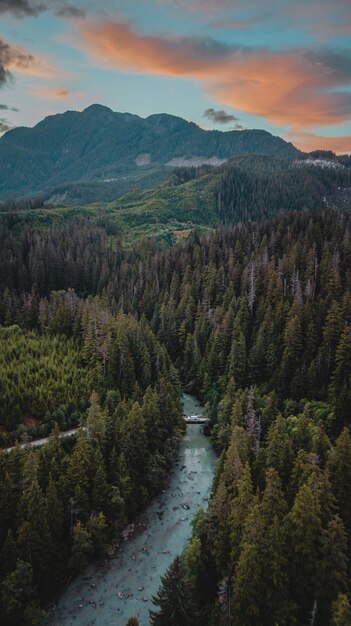 Disparo vertical de un bosque con un río y montañas verdes con cielo nublado