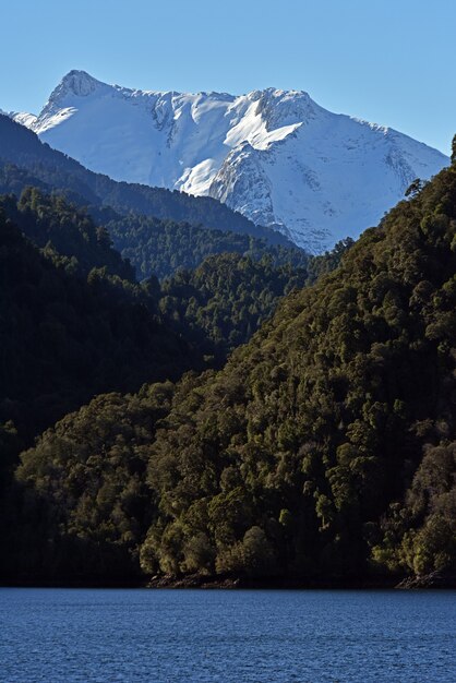 Disparo vertical de bosques verdes y montañas nevadas cerca del lago