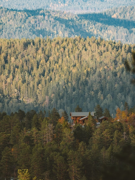 Disparo vertical de una cabaña en un bosque rodeado por una gran cantidad de árboles verdes en Noruega