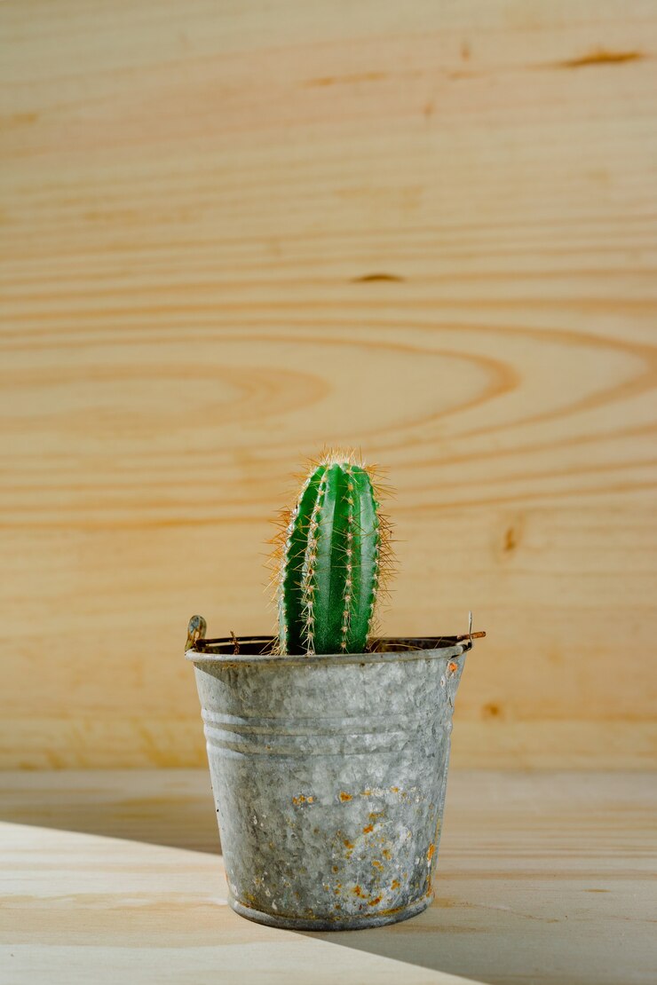 Disparo vertical de un cactus en una olla de cubo de plata con una superficie de madera