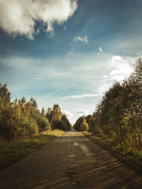 Disparo vertical de un camino en el bosque cubierto con las sombras de las nubes en el cielo soleado