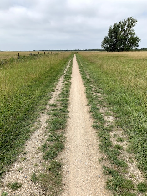 Disparo vertical de un camino en una pradera bajo un cielo nublado