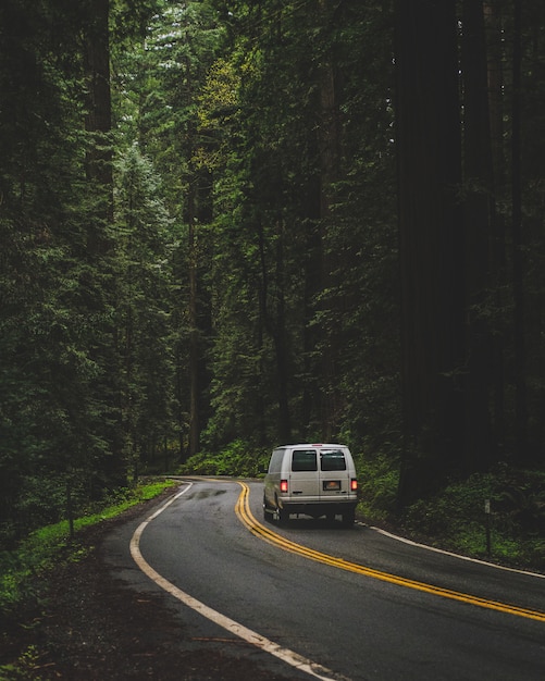 Disparo vertical de una camioneta blanca conduciendo por la carretera en medio de un bosque con árboles verdes