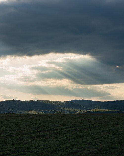 Disparo vertical de un campo verde en el campo bajo el nublado cielo del atardecer