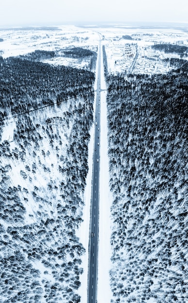 Disparo vertical de una carretera rodeada de abetos y nieve