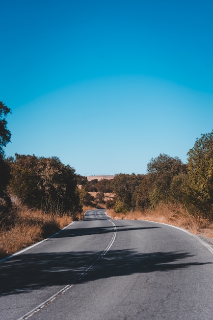 Disparo vertical de una carretera vacía en un día soleado