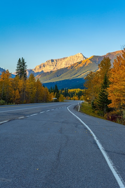 Disparo vertical de la carretera vacía junto con árboles de otoño en Kananaskis, Alberta, Canadá