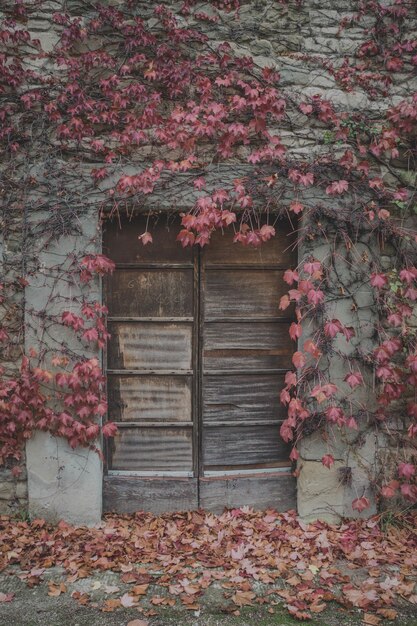 Disparo vertical de una casa antigua rodeada por ramas de árboles de otoño