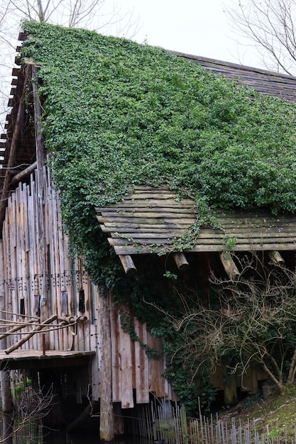 Disparo vertical de una casa de madera cubierta de plantas verdes