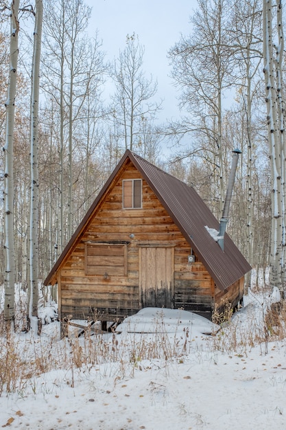 Disparo vertical de una casa de madera marrón en medio de un bosque nevado