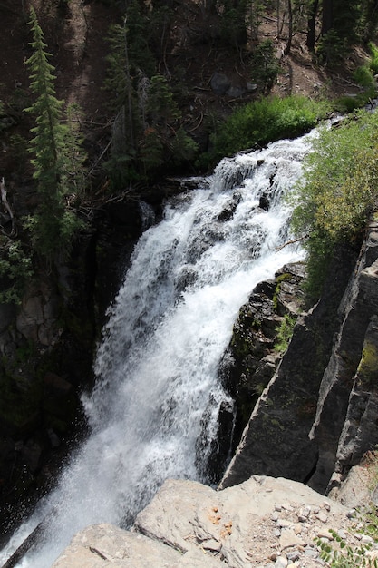 Disparo vertical de una cascada baja con espuma blanca en el bosque con acantilados y vegetación