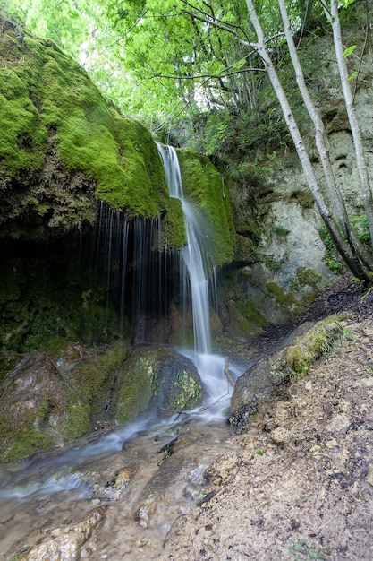 Disparo vertical de una cascada en medio del bosque en la región de Eiffel, Alemania