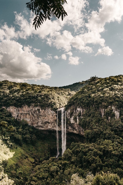 Foto gratuita disparo vertical de una cascada que fluye desde un alto acantilado cubierto de árboles verdes