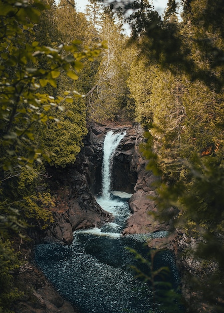 Foto gratuita disparo vertical de una cascada que fluye por el arroyo cerca de rocas y plantas