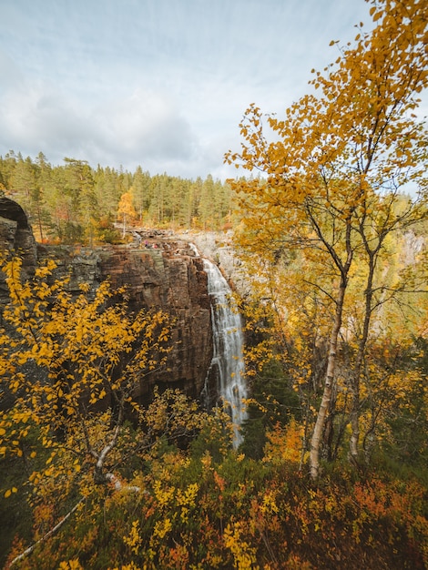 Disparo vertical de una cascada rodeada por muchos árboles con colores otoñales en Noruega