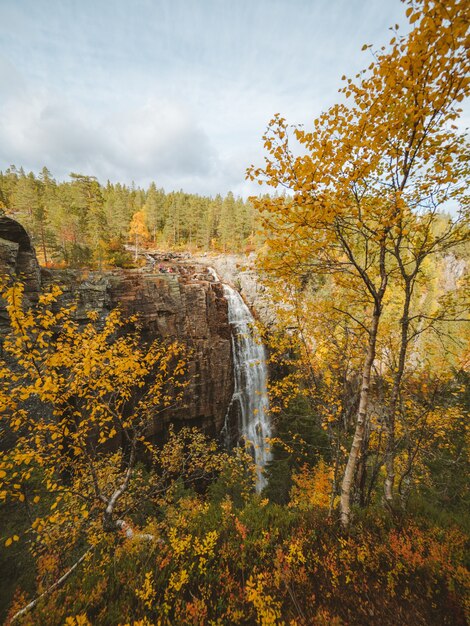 Disparo vertical de una cascada rodeada por muchos árboles con colores otoñales en Noruega