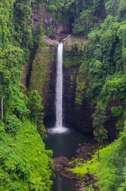 Disparo vertical de la cascada Sopo'aga rodeada de vegetación en la isla de Upolu, Samoa