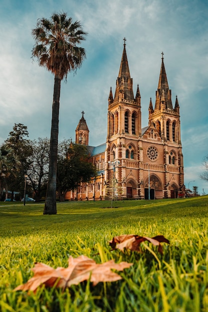 Foto gratuita disparo vertical de la catedral de st xaviers en adelaida, australia