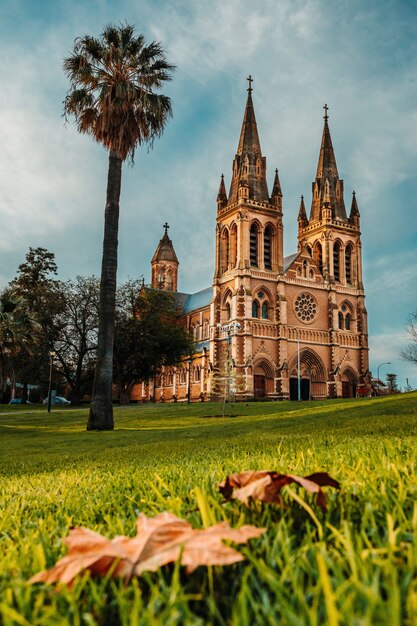Disparo vertical de la Catedral de St Xaviers en Adelaida, Australia