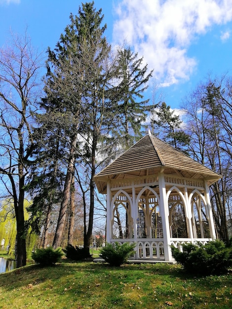 Disparo vertical de un cenador de madera y árboles en el Parque Norweski en Jelenia Gora, Polonia