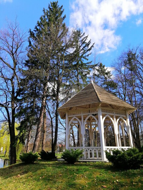 Disparo vertical de un cenador de madera y árboles en el Parque Norweski en Jelenia Gora, Polonia