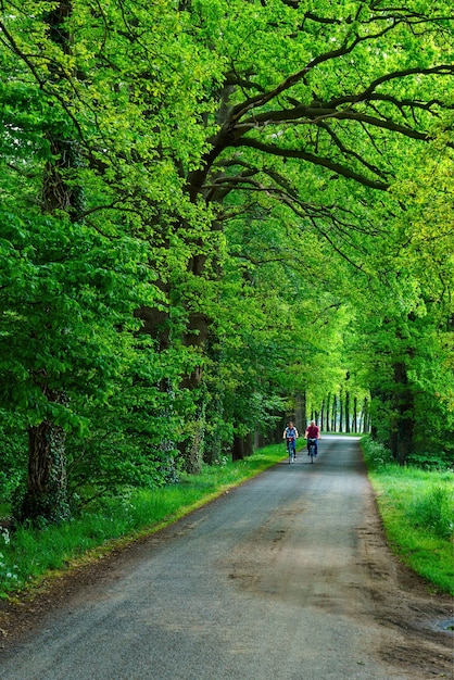 Disparo vertical de ciclistas cabalgando en un jardín verde