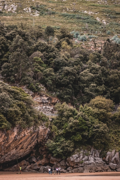 Disparo vertical de una colina alta cubierta de árboles y plantas