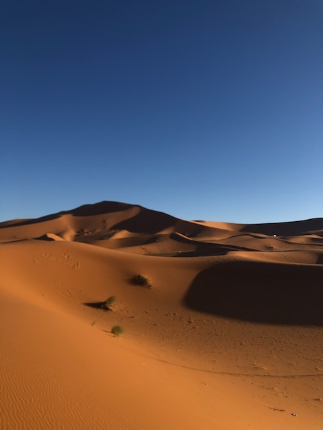 Disparo vertical de un desierto con dunas de arena en un día soleado