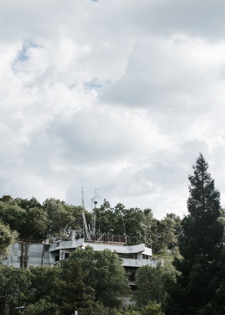 Disparo vertical de un edificio abandonado en medio de un bosque bajo el cielo nublado