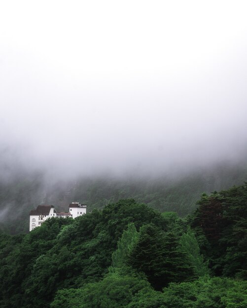 Disparo vertical de un edificio antiguo en una montaña cubierta por árboles en un día brumoso