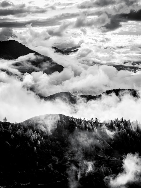 Disparo vertical en escala de grises de montaña boscosa por encima de las nubes en grober priel