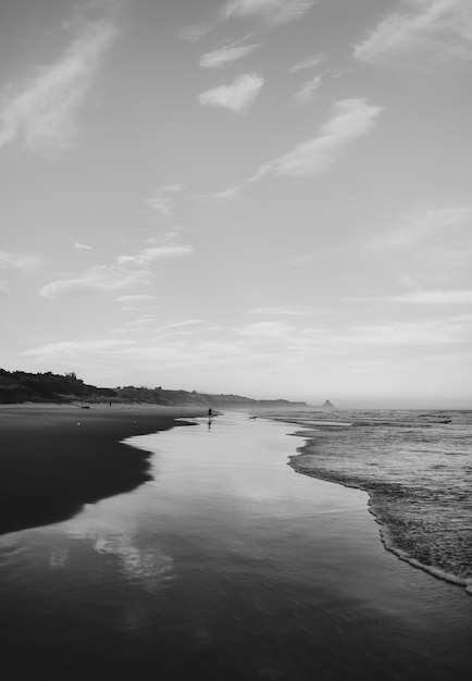 Disparo vertical en escala de grises de una ola y la playa en Dunedin, Nueva Zelanda