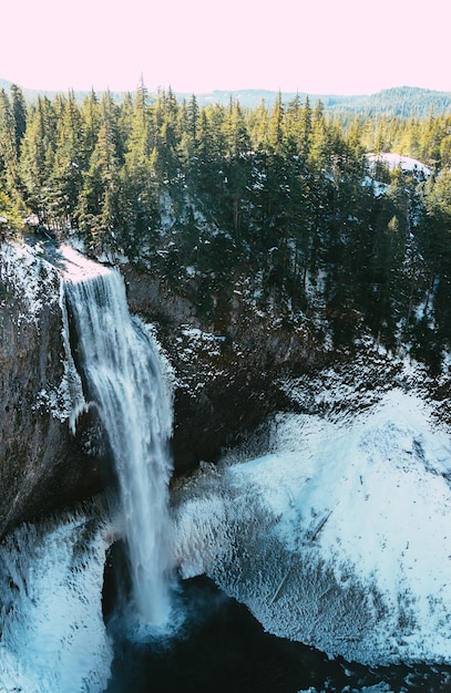 Disparo vertical de una hermosa cascada y un bosque en invierno