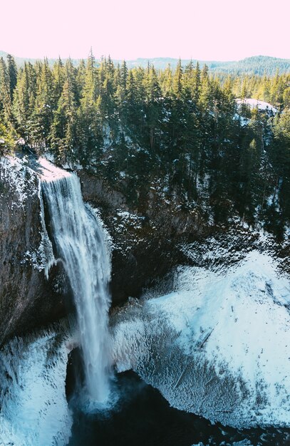Disparo vertical de una hermosa cascada y un bosque en invierno