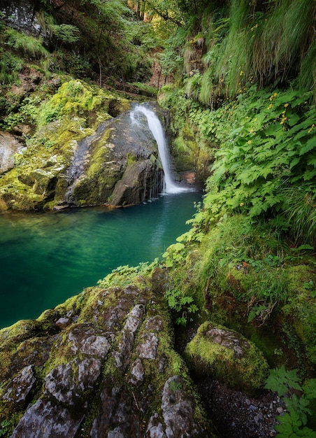 Foto gratuita disparo vertical de una hermosa laguna rodeada de rocas cubiertas de musgo y el bosque en skrad, croacia