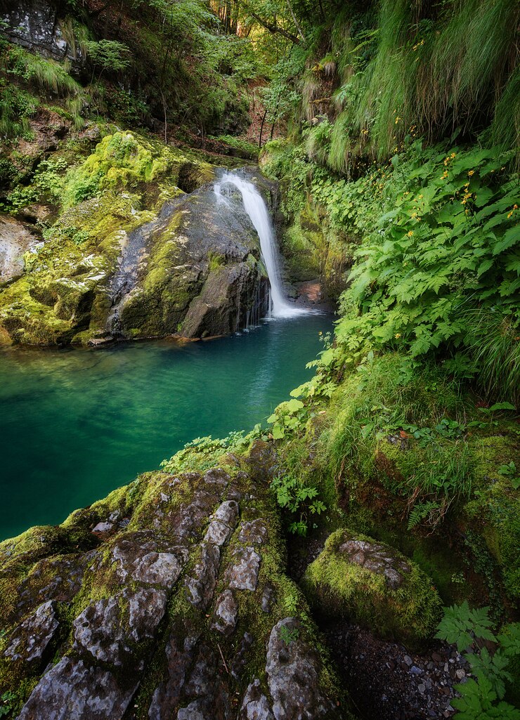 Foto gratuito disparo vertical de una hermosa laguna rodeada de rocas cubiertas de musgo y el bosque en skrad, croacia