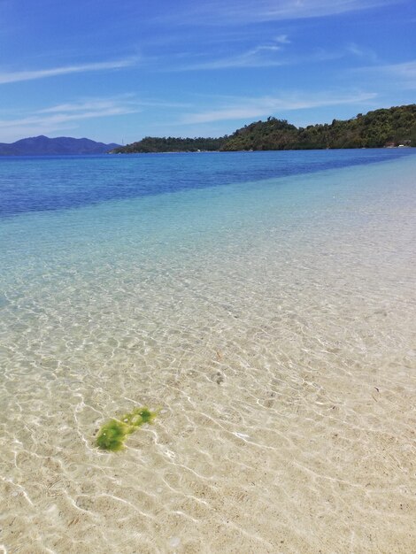 Disparo vertical de una hermosa playa de arena en Italia