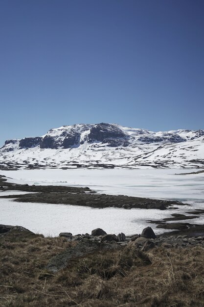 Foto gratuita disparo vertical de hermosas montañas nevadas