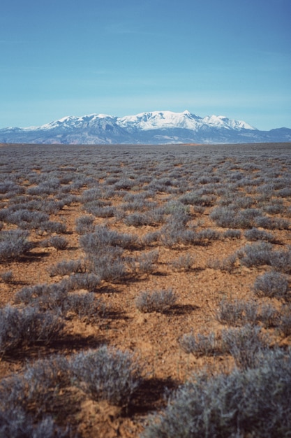 Disparo vertical de un hermoso campo desértico con vegetación seca y una colina nevada visible en la distancia