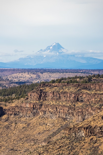 Foto gratuita disparo vertical de un hermoso cañón con acantilados rocosos y una alta montaña nevada