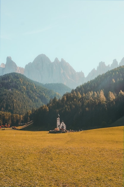 Foto gratuita disparo vertical de un hermoso edificio en un campo de hierba seca rodeado de montañas boscosas