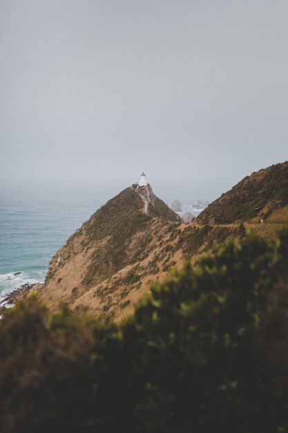 Disparo vertical de un hermoso faro de nugget point ahuriri en nueva zelanda con un fondo brumoso