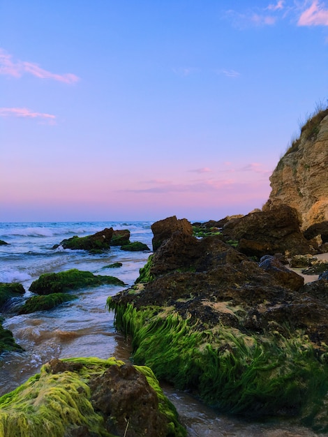 Disparo vertical del hermoso lado del mar con acantilados y vegetación y hermoso cielo