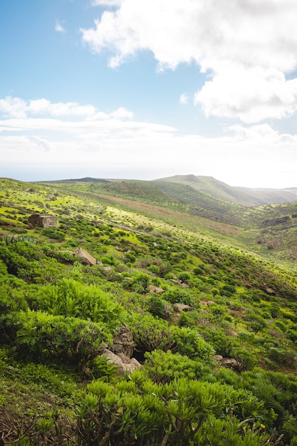 Disparo vertical de un hermoso terreno montañoso cubierto de vegetación verde