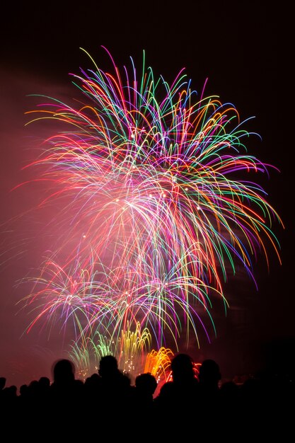 Disparo vertical de hermosos coloridos fuegos artificiales bajo el oscuro cielo nocturno