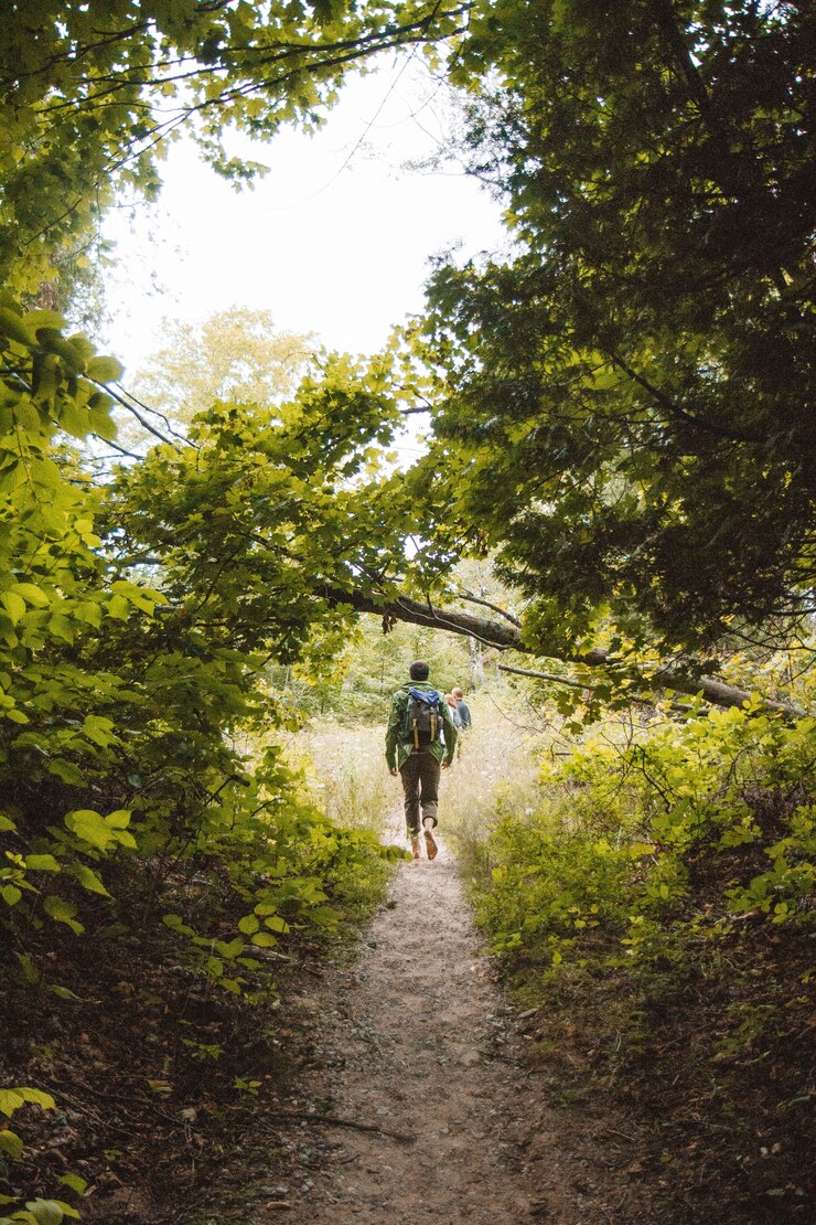 Foto gratuito disparo vertical de un hombre con una mochila caminando por un camino estrecho en medio de árboles y plantas