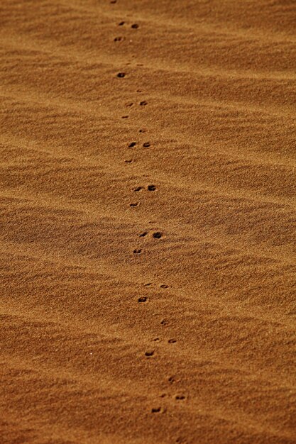 Disparo vertical de huellas en las dunas de arena en Xijiang, China