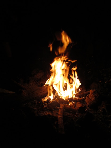 Disparo vertical de leña en una fogata en la noche